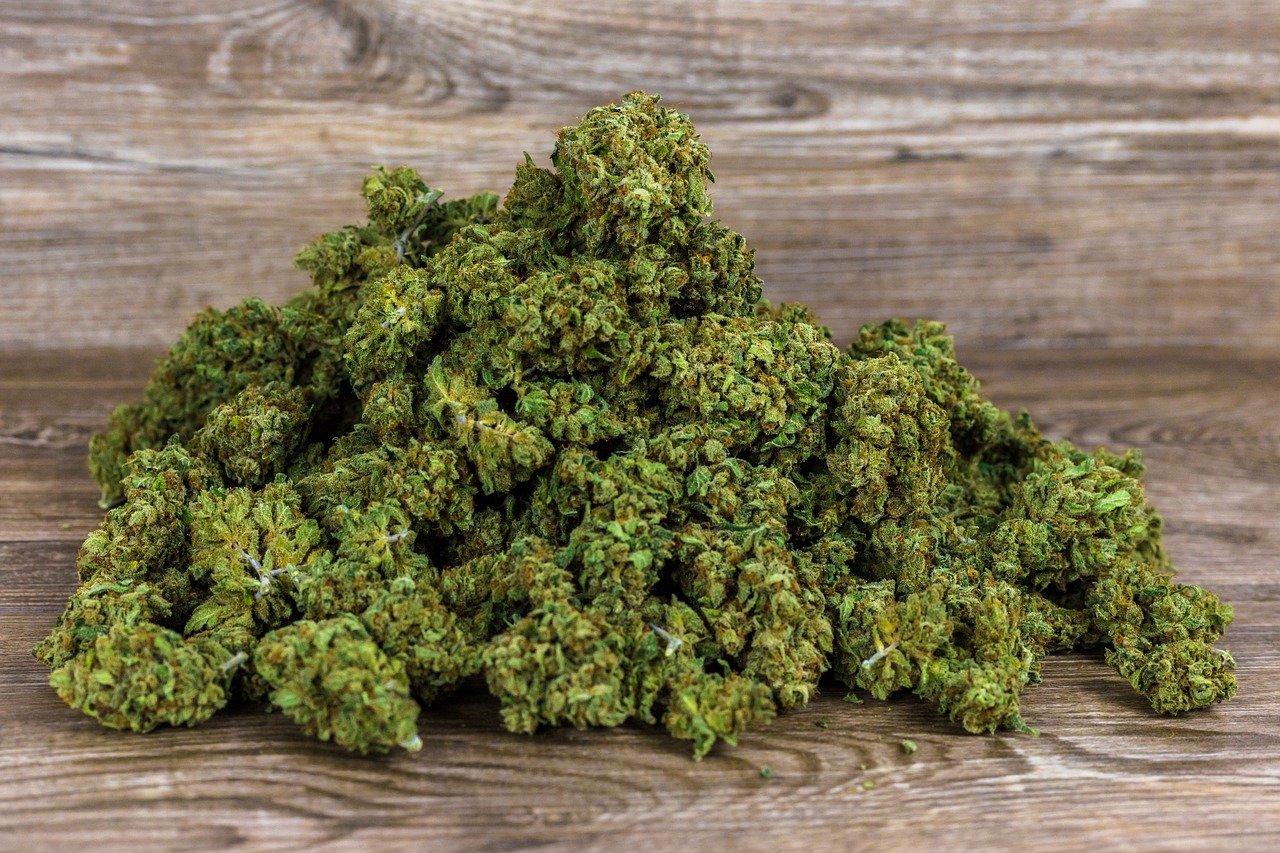 Kolekcjonerskie nasiona marihuany outdoor a indoor – czym się różnią?